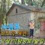 서귀포 쇠소깍 해변⛱️ 고살리(탐방로)숲길⛰️