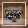[목동 첼로레슨] 첼로 콩쿠르 전원 입상 /서울시 전문예술단체 오케스트라 음악콩쿠르 / 초등학생 음악 경연 대회