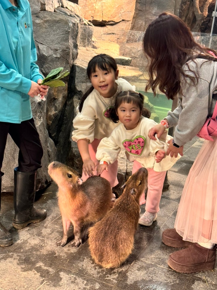 가평 신비동물원 - 실내 동물 밥주기 체험 아이와 가볼만한 곳