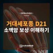 거대세포종 giant cell tumor 개념 및 D21 소액암 보상 이해하기