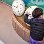 인천 청라 아이와 함께 실내 구경하기 좋았던 국립생물자원관 생생채움! 3살 아기와 함께 방문한 후기
