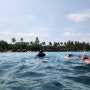 [베트남 푸꾸옥] 마이트립 보물섬 호핑투어 ! 스노쿨링 즐기기