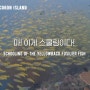 필리핀 팔라완 코론 섬(Coron Island) 스쿠버다이빙 투어(3) - 2차 대전때 침몰한 일본 난파선의 속살 - 코교 마루(Kogyo Maru, Wreck)