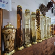 대전 구암동 자연산버섯찌게 식당 천강