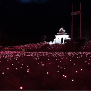 포천 허브아일랜드 불빛동화축제 기간, 핑크모래, 핑크트리 포토존 야간까지