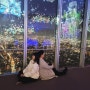 오사카 하루카스 300 전망대 가는법 야경 입장권 가격 입장료 할인 예약 레스토랑 메뉴