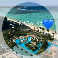 괌💙 태교여행 D-day3 '괌 농부시장 / 데데도새벽시장 ‘