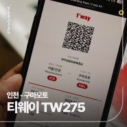 인천-구마모토 여행 <티웨이 항공 TW275> 기내식 & 일본유심 일본esim 정보