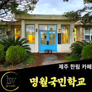 제주 한림 [명월국민학교], 웰컴투삼달리 촬영지 이색카페