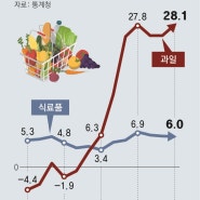 과일값 13년만에 최대 상승 (설날,과일,사과,정책)