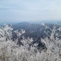 치악산, 아름다운 서리꽃과 눈 덮인 계곡의 비경을 찾아서 - 2024년 2월 3일(토)