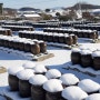 인양양초장의 겨울풍경