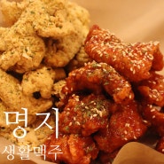 명지 술집이자 치킨 맛집인 수제맥주 전문 생활맥주 부산명지포스코점