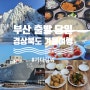 [정산] 부산 출발 당일 경상북도 겨울여행