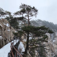 문경 황장산, 눈덮인 산행 후기. (24.02.11)