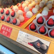 일본 도쿄 긴자 아케보노 센베이 / 긴자 딸기모찌 맛집