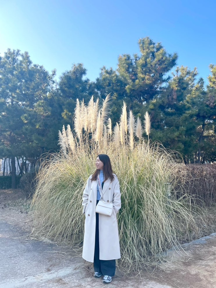 명지 가볼만한곳, 소소하게 데이트장소로 좋아, 명지철새탐조대
