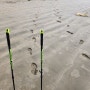 [건강] 바른 걷기 몽산포 해변 노르딕워킹