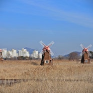 240130 소래습지생태공원 탐조