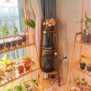 식물선반 친절한마이쮸 원목화분받침대 깔끔한 화분정리대