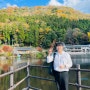 일본 후쿠오카 3박4일 혼자 자유여행기 도보코스 정리