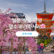 2024 일본 벚꽃 개화시기 & 오사카·도쿄·홋카이도 벚꽃 맛집 리스트