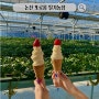 대전근교 아이와 가볼만한곳, 이색데이트 논산 또로롱 딸기 농장 방문후기