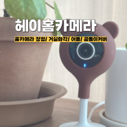헤이홈 스마트 홈카메라 장점/베이비캠 거실 화각/어플/곰돌이커버