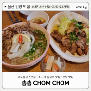 울산 언양 맛집 : 태국음식점, 소고기 쌀국수 맛집 '촘촘'