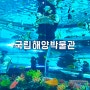 국립 해양 박물관 : 영도 아이와 가볼만한곳 추천 (수족관, 설연휴 정상운영)