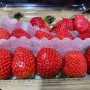 딸기가 좋아 ^^