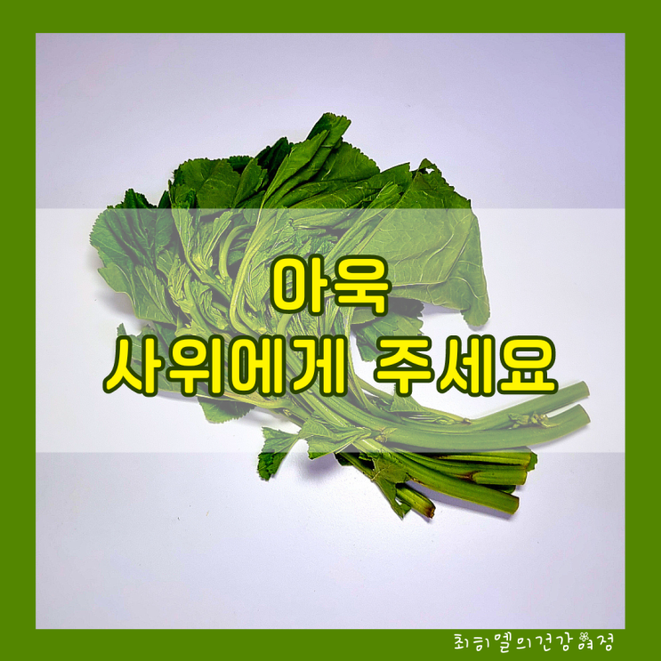 아욱 효능 부작용 궁합 음식 변비에 좋은 야채 : 네이버 블로그