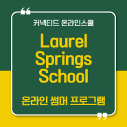 [썸머 캠프]2024 온라인 썸머 프로그램 Summer@ Laurel Springs School