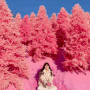 [포천가볼만한곳]포천허브아일랜드:핑크,빛으로말하다 가는길/축제기간/사진스팟/카페/휴대폰충전
