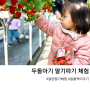 [동탄 딸기체험] 두돌아기 딸기농장체험 후기