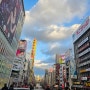 오사카 3박4일 자유여행기(일정, 경비정리)