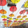 겨울에도 볼 수 있다! 경기도 가볼 만한 곳 가성비갑 과천 서울대공원