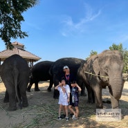 방콕에서 코끼리 보고 싶다면 꼭 한번 가보길 추천하는 곳 _아이들과 꼭 가보면 좋은 칸차나부리 코끼리 보호센터