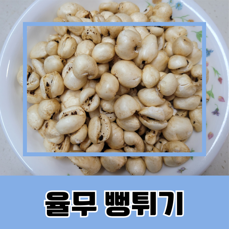 율무 건강식 뻥튀기 율무밥 율무차 만드는 법 효능 : 네이버 블로그