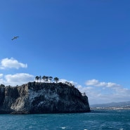 [제주] 70대 부모님과 함께한 꽉찬 2박 3일 제주 가족여행 3일차 (성산일출봉, 외돌개 전망대, 서귀포 유람선, 미영이네 조천점)