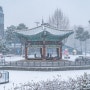 [작은사진첩] 눈오는날 어린이대공원