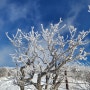 태백산 반제