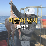 피문어 낚시 채비, 금지체장, 장비 총정리(강릉 뉴한일호)