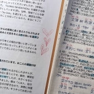일본어 공부 시켜주는 디노가 기특하다 2
