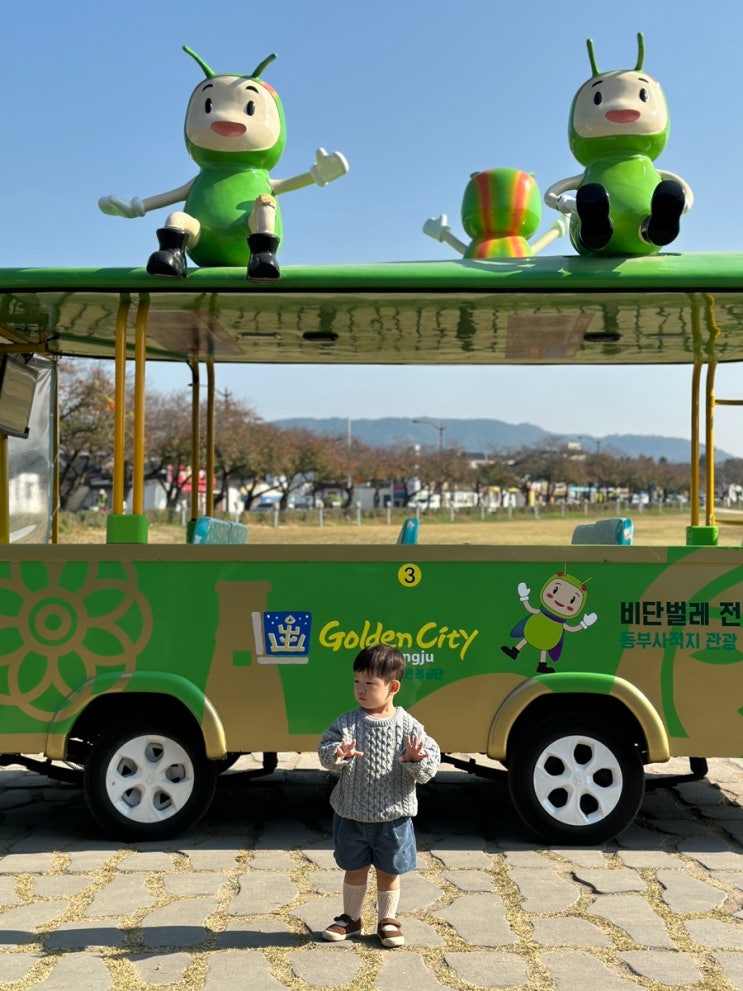 아이와 함께 벌레차를 타요 [ 경주 비단벌레 전동차 ]