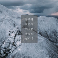 눈보라와 파도가 휘몰아치는 겨울 울릉도 | Ulleungdo Travel Film