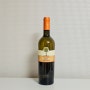 이탈리아 화이트 와인 추천 피나 타이프 Fina Tife