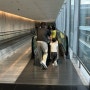 [싱가포르 여행] 창이공항 출국 (아시아나항공 얼리체크인)