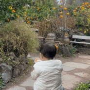 제주도서귀포 귤꽃다락 귤밭뷰가 이쁘고 아기자기한곳