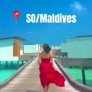몰디브 스피드보트지역 리조트 SO/maldives 부대시설 리뷰